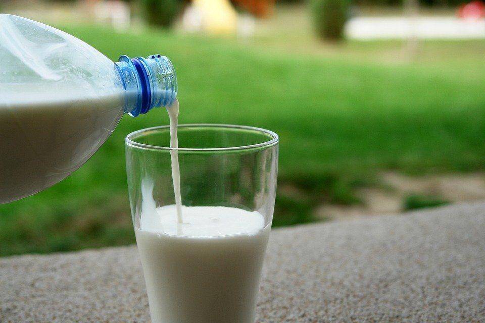 Ilustrasi susu (pixabay.com/devanath)