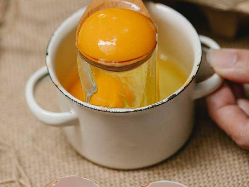 ilustrasi kuning telur (pexels.com/Klaus Nielsen)