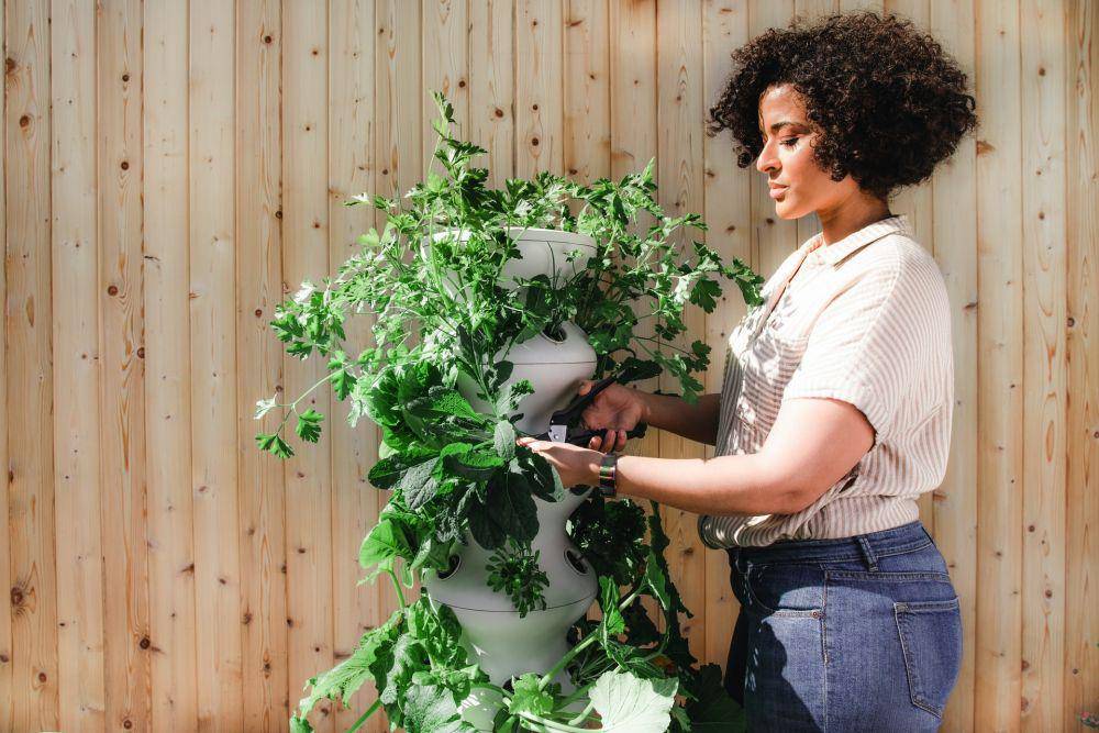 ilustrasi berkebun (unsplash.com/lettucegrow)
