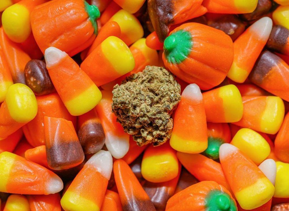 candy corn (instagram.com/mission.southchicago)