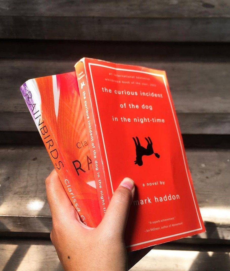 novel The Curious Incident of the Dog in the Night-Time (instagram.com/nighttimestudy)