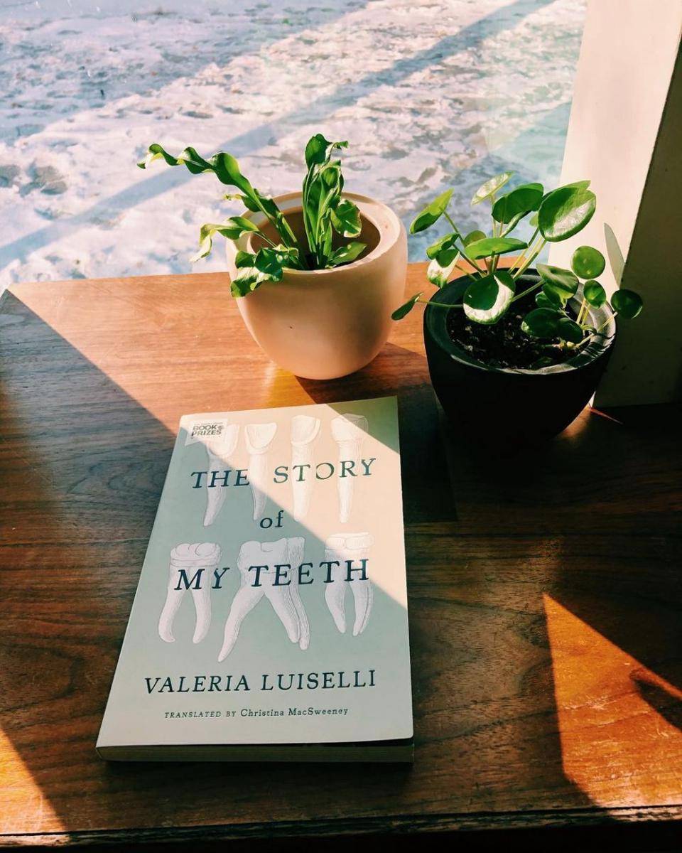 novel The Story of My Teeth oleh Valeria Luiselli (instagram.com/whilereadingandwalking)