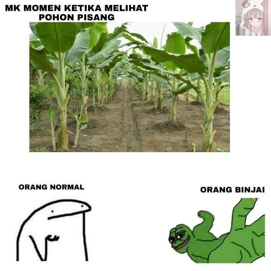 meme salam dari Binjai (facebook.com/azi.casper.5)