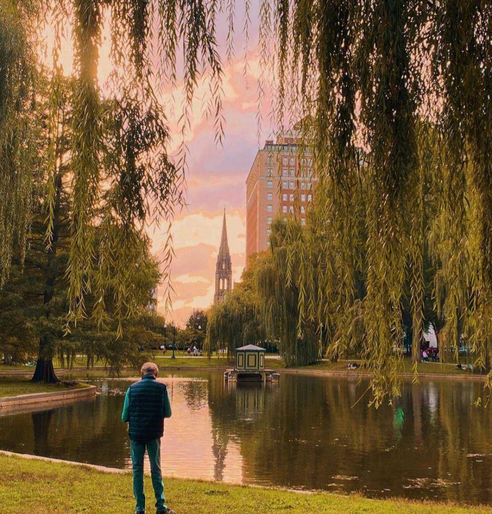 Boston Common and Public Garden (instagram.com/nehalalithaphotography)