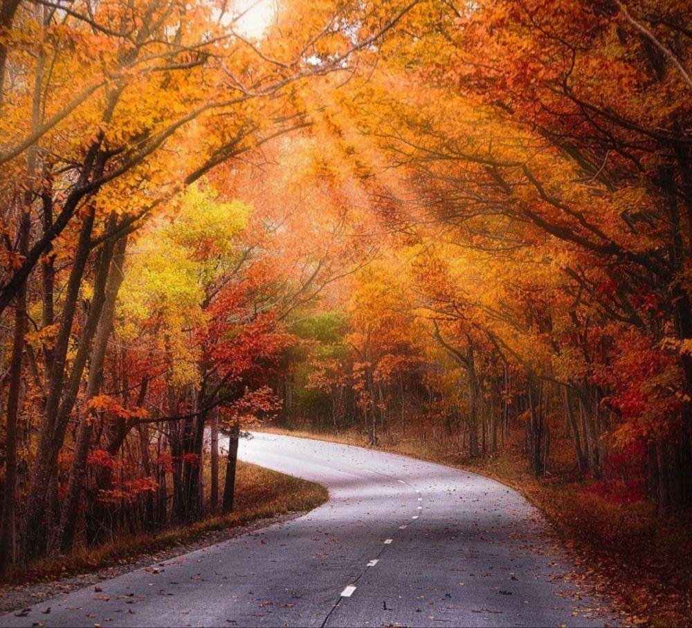 Bar Harbor, Maine (instagram.com/marz26)