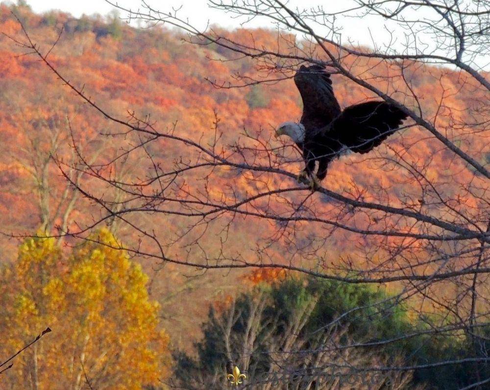Kent, Connecticut (instagram.com/lescale88)
