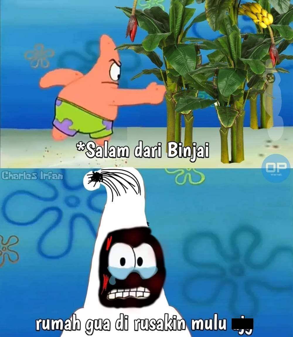 meme salam dari Binjai (instagram.com/receh.ai)