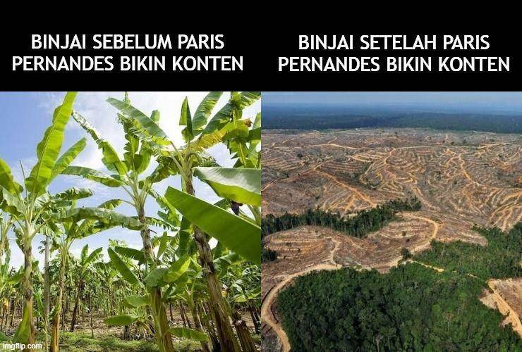 meme salam dari Binjai (twitter.com/onthesbrew)