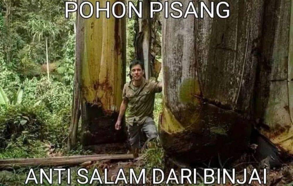 meme salam dari Binjai (instagram.com/rumah_shitmeme.id)