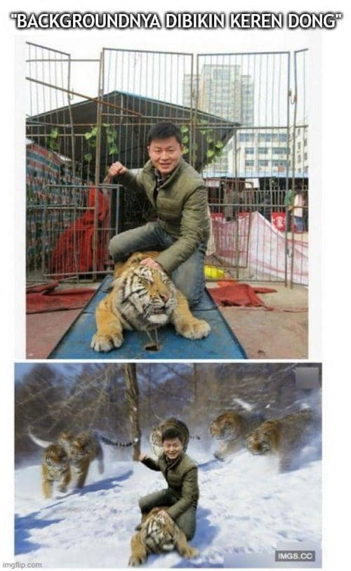 dijahilin editor foto (boredpanda.com)