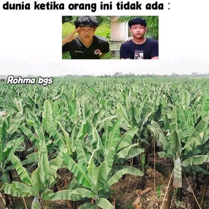 meme salam dari Binjai (facebook.com/profile.php?id=100061622239717)