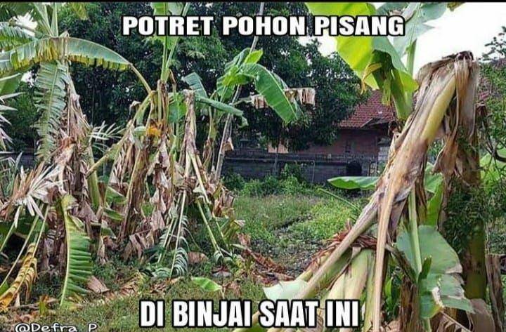 meme salam dari Binjai (facebook.com/faathetic.faathetic)
