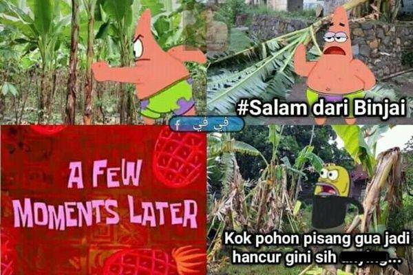 meme salam dari Binjai (facebook.com/profile.php?id=100073694259354)