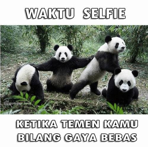 meme foto gaya bebas (instagram.com/gambar.lucu)