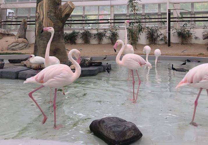 O! World Zoo Land (instagram.com/emiya_yujumom)