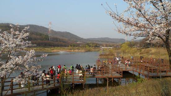 Incheon Grand Park (10mag.com)