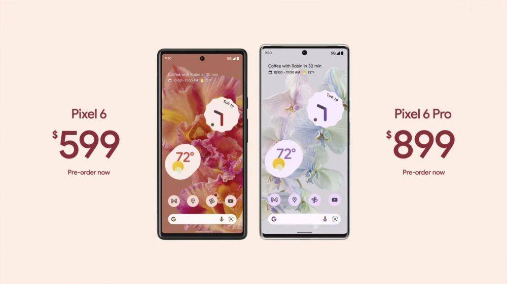 ilustrasi harga Pixel 6 dan Pixel 6 Pro (theverge.com)