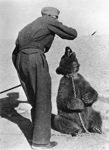 ilustrasi Wojtek (commons.wikimedia.org/The New York Public Library)