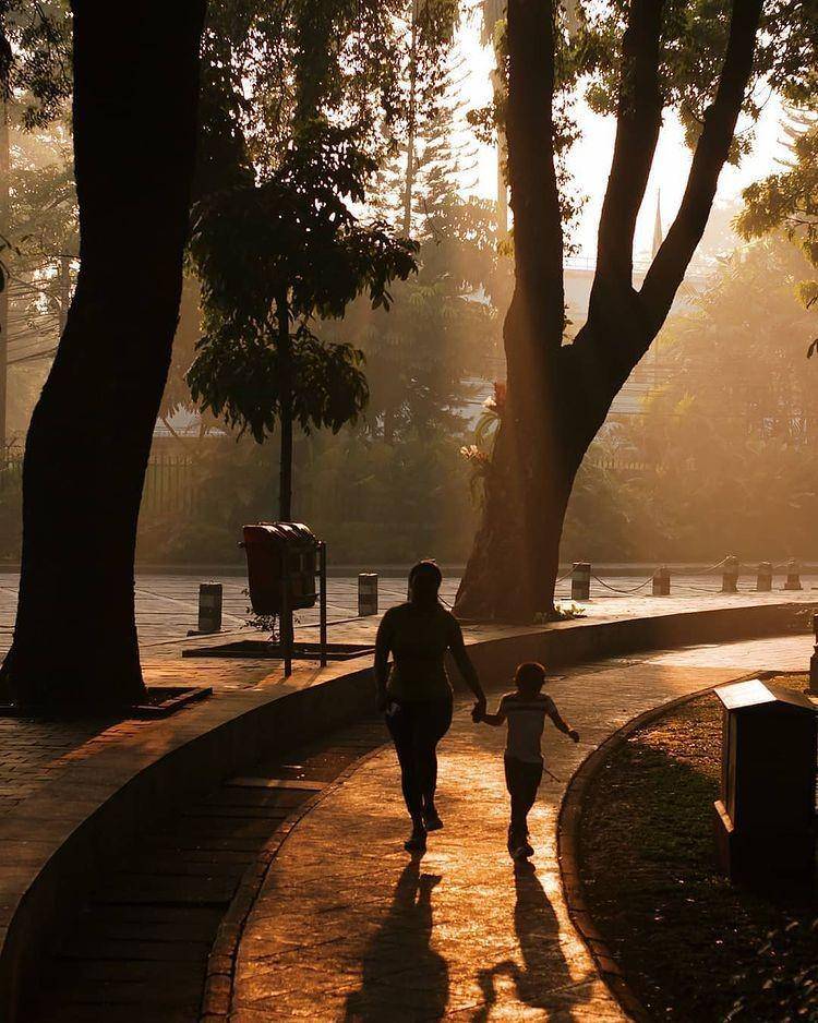 Taman Suropati (Instagram.com/zamianienrico)