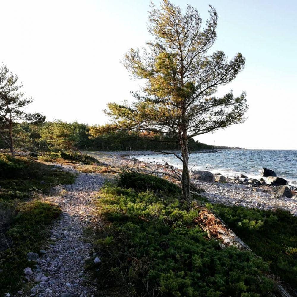 Salah satu spot di Archipelago National Park, Finlandia (instagram.com/vanhakurppa)