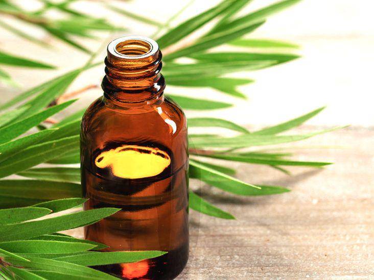 Ilustrasi tea tree oil (healthline.com/health)