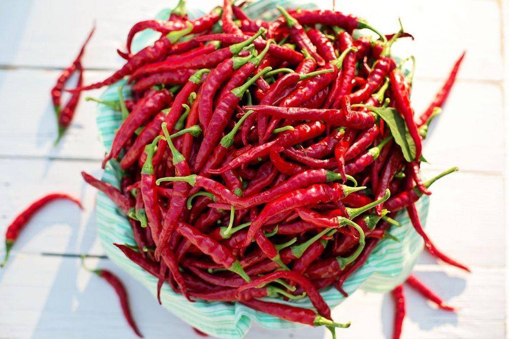Ilustrasi cabai merah keriting (pixabay.com/jillwellington)