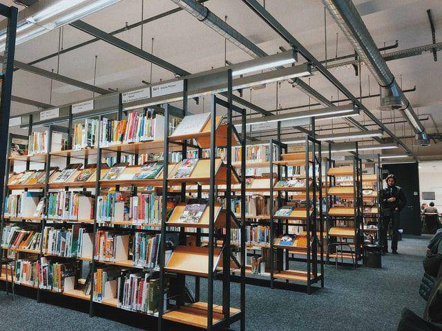 ilustrasi seseorang sedang berada di perpustakaan (unsplash.com/Đăng Nguyễn)