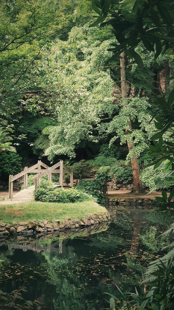 Ilustrasi taman (unsplash.com/ thepeoplesdigital)