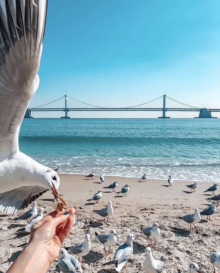 Pantai Gwangalli (instagram.com/lilu_pacific)