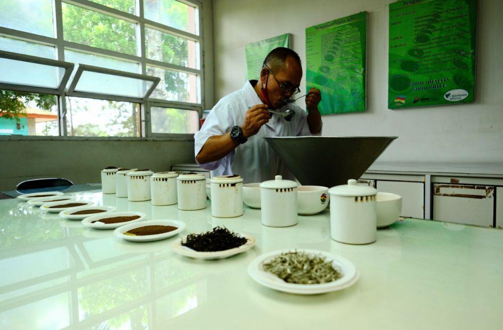 Proses uji coba kualitas teh sebelum dijual ke pasaran. IDN Times/Alfi Ramadana