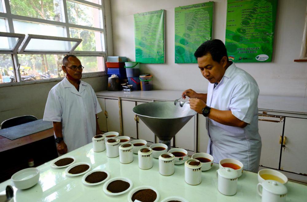Proses uji kualitas teh sebelum dijual ke pasaran. IDN Times /Alfi Ramadana