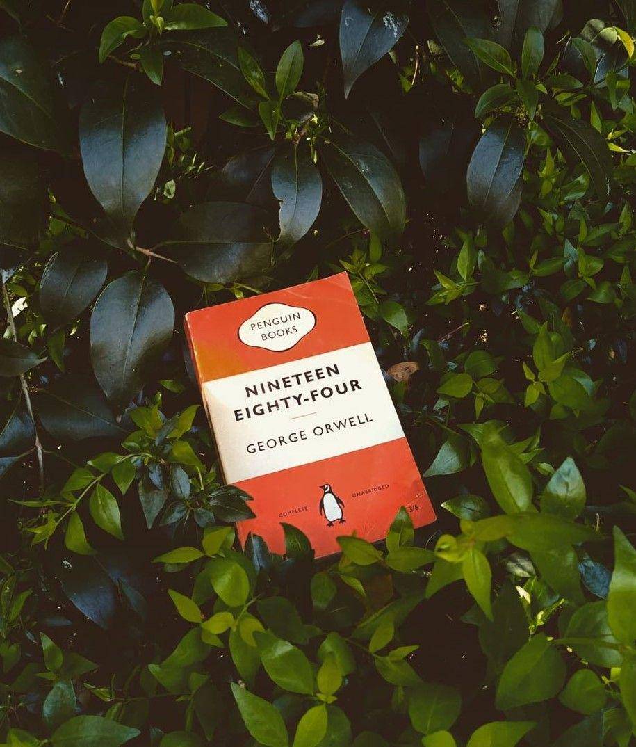 1984 oleh George Orwell (instagram.com/lillian_delphi)