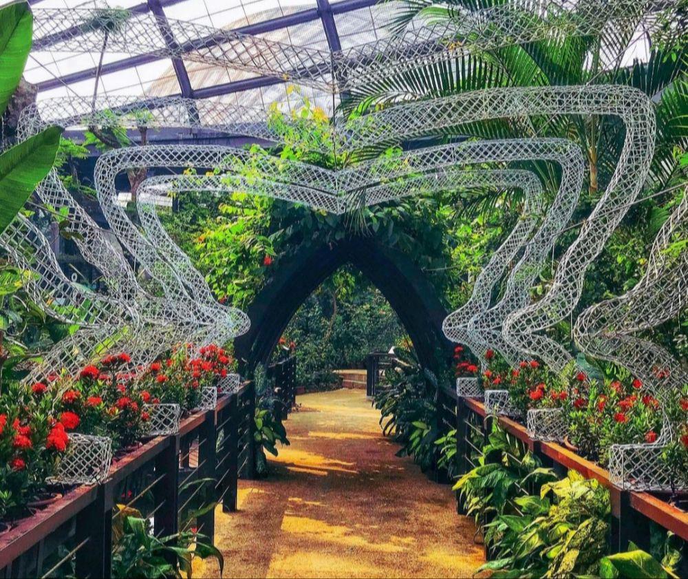 Penang’s Butterfly Farm (instagram.com/seros2020)