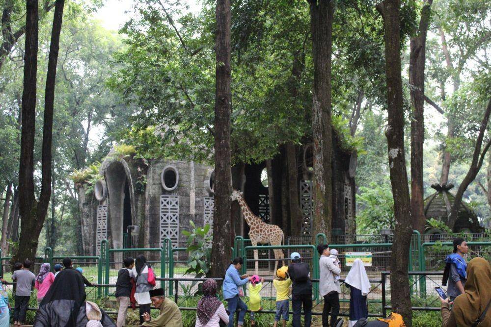 Ilustrasi kebun binatang