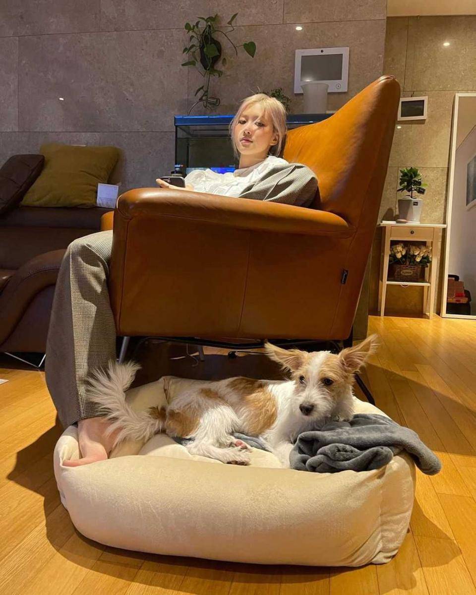 Rose BLACKPINK dan hewan peliharaannya, Hank (instagram.com/hank_says_hank)