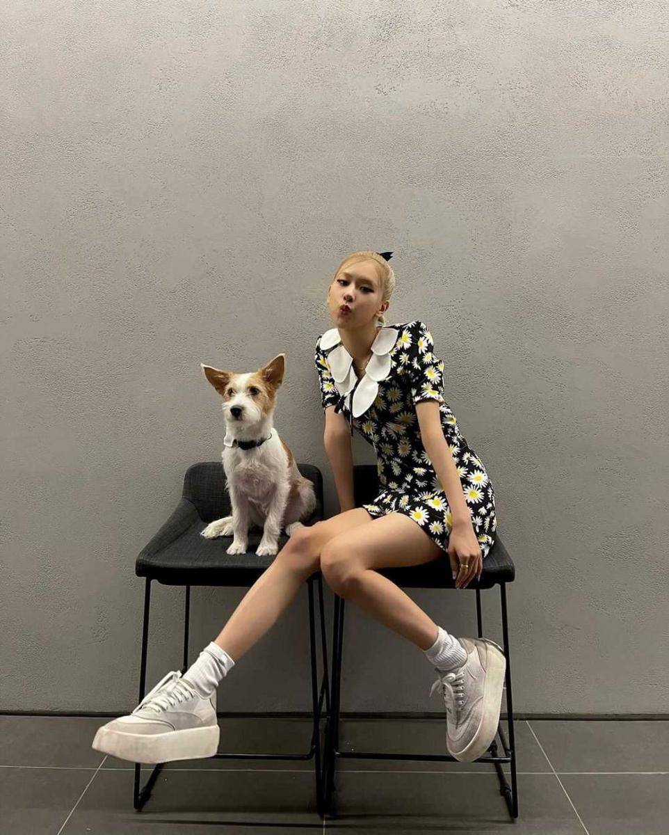 Rose BLACKPINK dan hewan peliharaannya, Hank (instagram.com/roses_are_rosie)