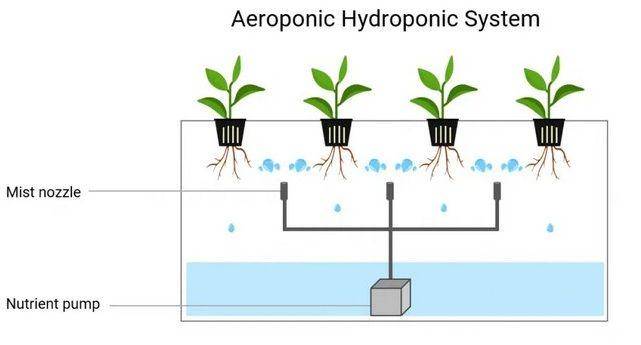 ilustrasi sistem aquaponik (hightechgardening.com)