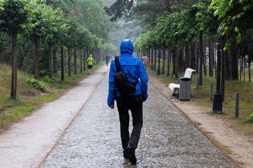 ilustrasi berjalan saat hujan (pixabay.com/dmncwndrlch)