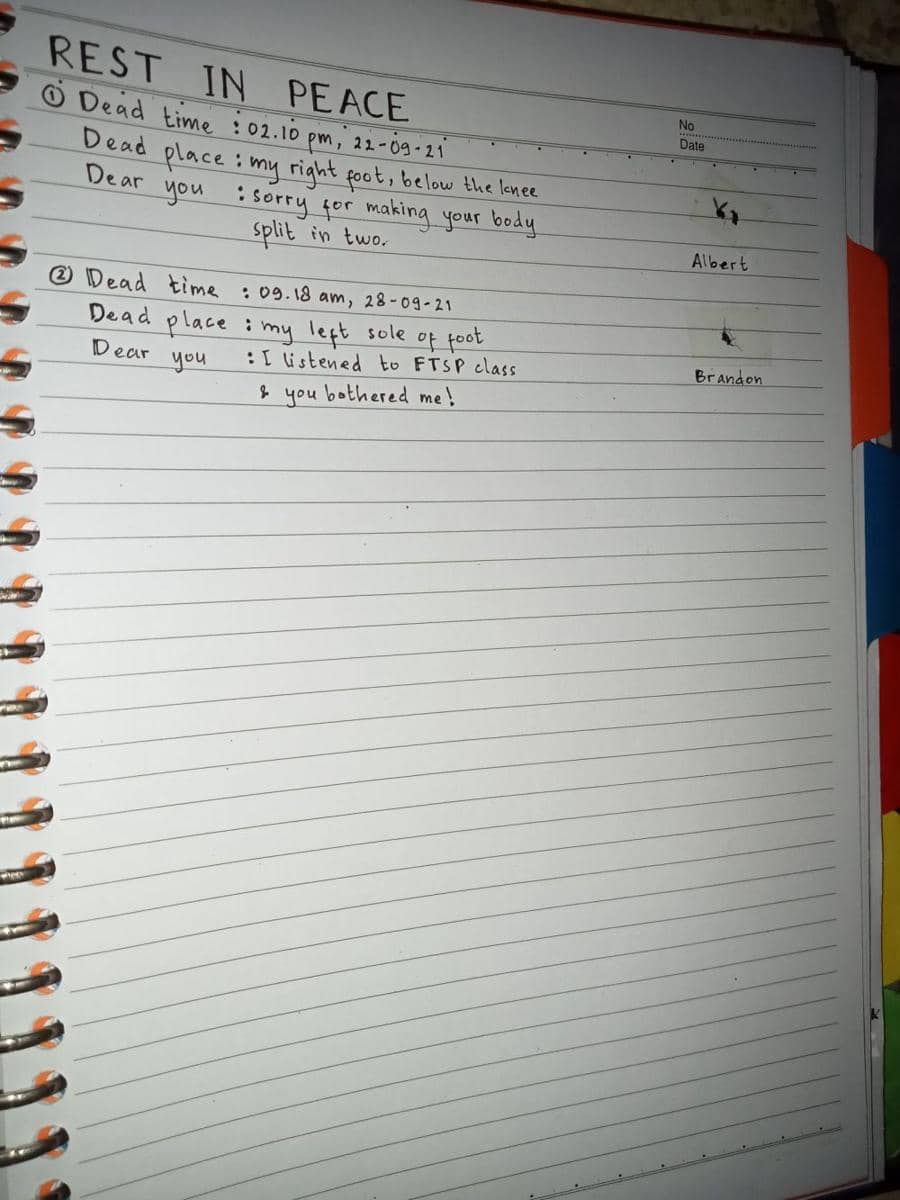 kelakuan koleksi nyamuk (Twitter.com/altereg0___)