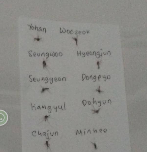 kelakuan koleksi nyamuk (Twitter.com/bertanyarl)