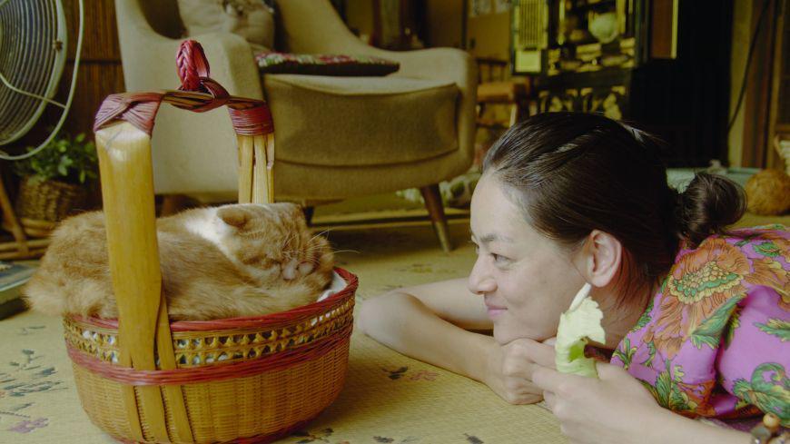 8 Film Jepang Bergenre Slice of Life, Healing dan Inspiratif