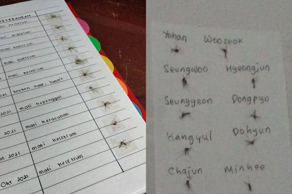 10 Kelakuan Nyeleneh Koleksi Nyamuk Mati, Bikin Gak Habis Pikir