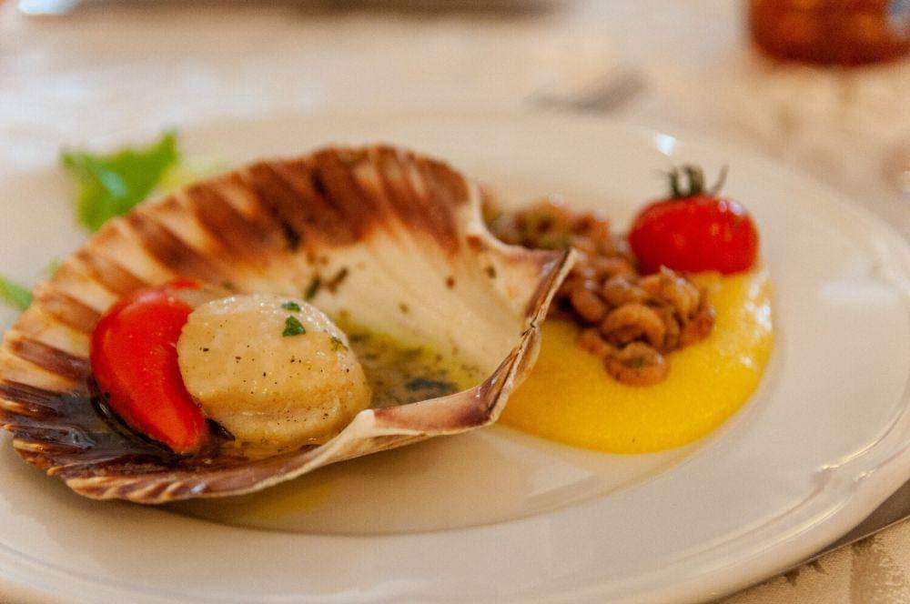 ilustrasi scallops with jarlsberg (unsplash.com/Marika Sartori)
