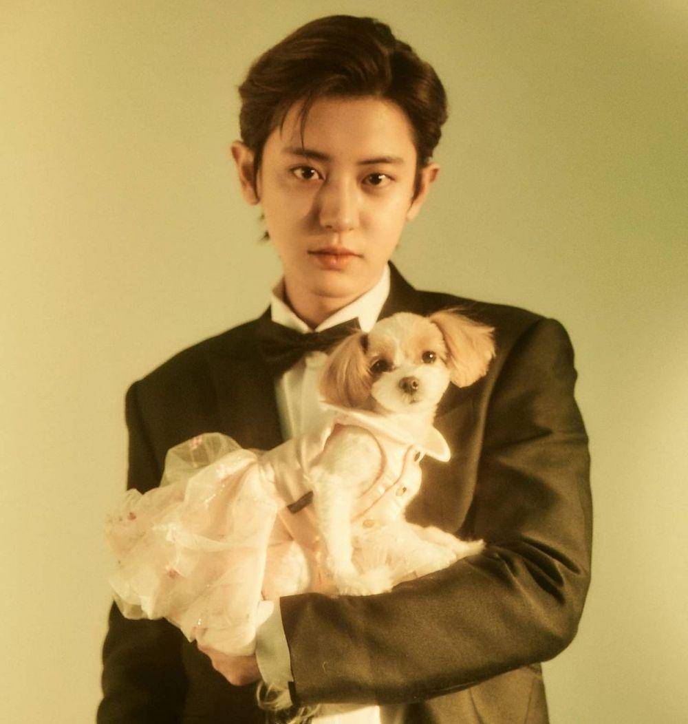 Chanyeol EXO (instagram.com/real__pcy)