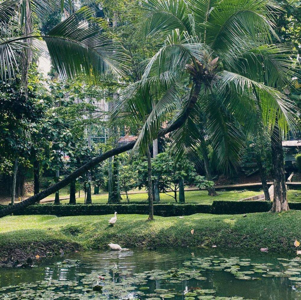 Taman Langsat (instagram.com/journalingourday)