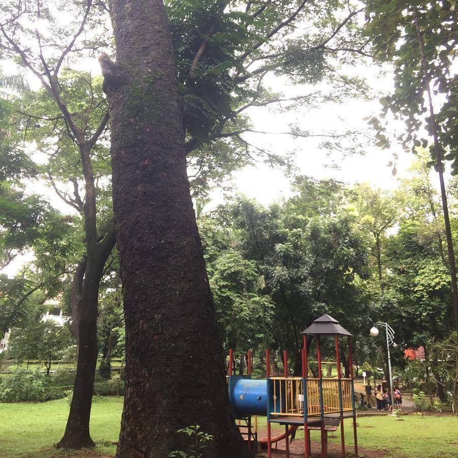 Taman Seno (instagram.com/asnawi_dki)
