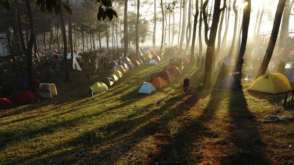Kegiatan camping di sekitar hutan pinus rahong. (instagram.com/ferybrewing)