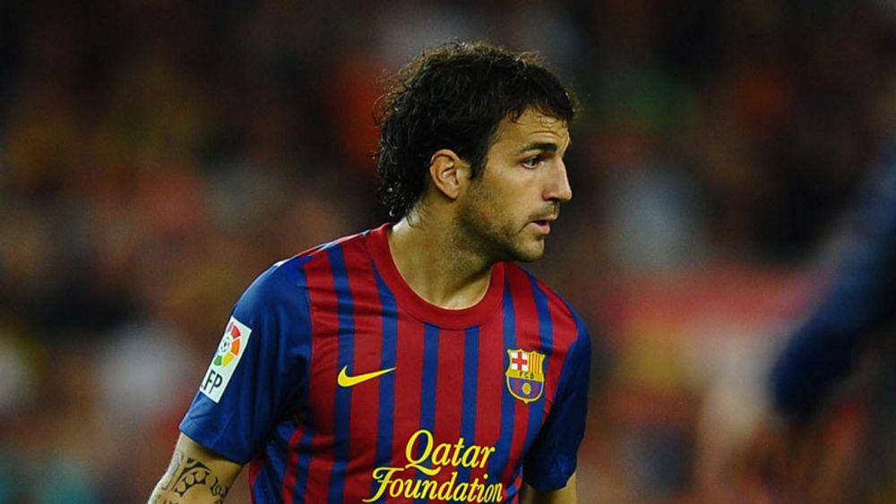 Cesc Fabregas (skysports.com)
