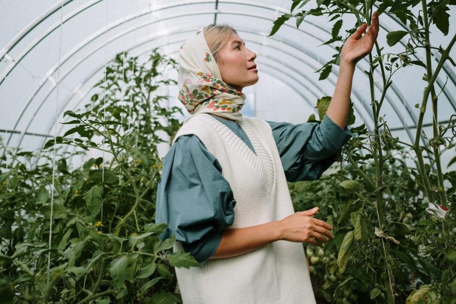 [QUIZ] Rancang Desain Kebun Kesukaan, Kami Tahu Sifat Aslimu