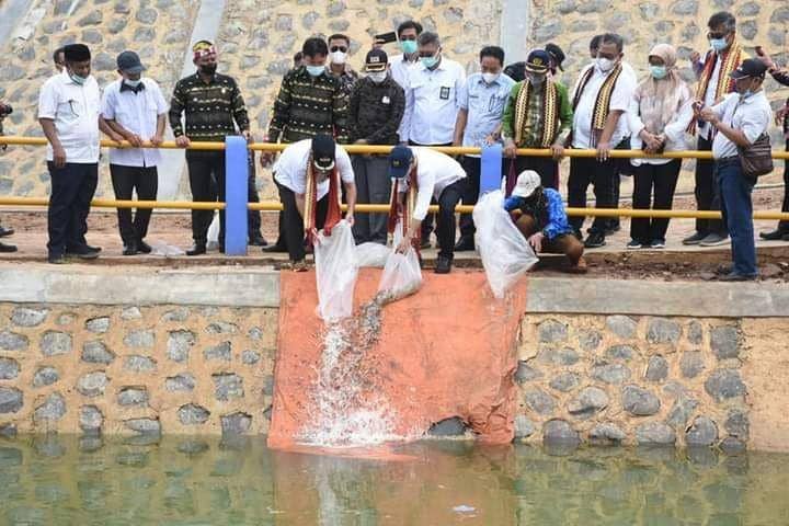 Wisata Embung di Desa Nibung Lampung Timur (IDN Times/Istimewa)